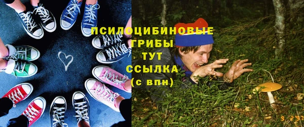 крисы Приозерск