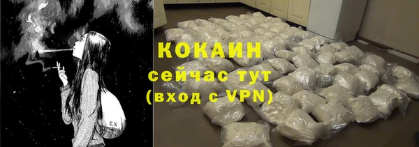 бошки Протвино