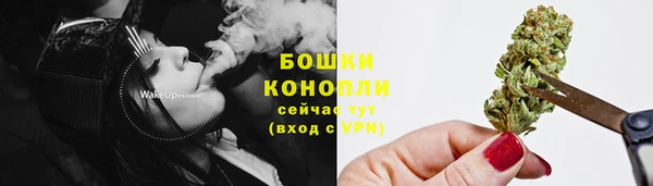 бошки Протвино