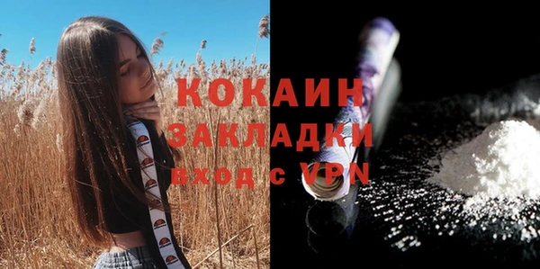 бошки Протвино