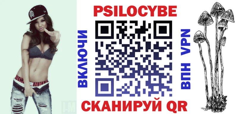 где купить наркоту  Ржев  Псилоцибиновые грибы GOLDEN TEACHER 