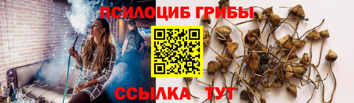 Ржев  Псилоцибиновые грибы ЛСД  Галлюциногенные грибы Cubensis  Вход с VPN 